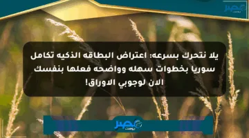 يلا نتحرك بسرعة: اعتراض البطاقة الذكية تكامل سوريا بخطوات سهلة وواضحة فعلها بنفسك الآن لوجوبي الأوراق!